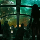 Illustration for article titled Watching Guardians Of The Galaxy Is Like Getting Back Part Of Your Soul